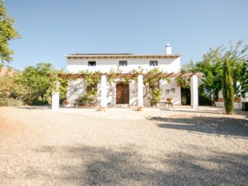 Country homes 7 Bedrooms in Pizarra