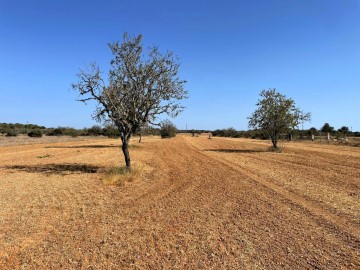 Terre à Sa Sorda