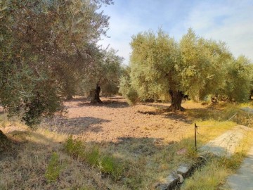 Terrenos en Ugíjar