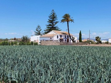 House 5 Bedrooms in Alboraya Centro