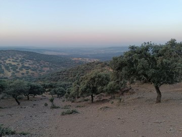 Terreno em Alía