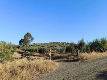 Terrenos en Montemolín