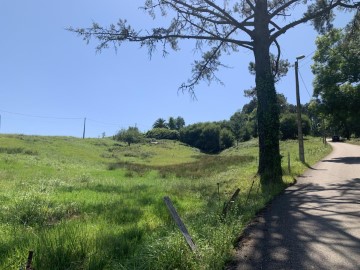 Terrenos en Obregón