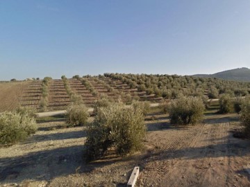 Land in Montillana