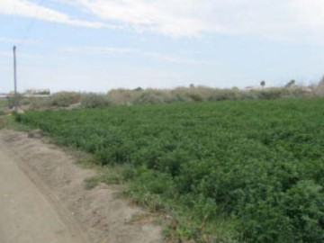 Terrenos en Vega de Acá - Nueva Almería - Cortijo Grande