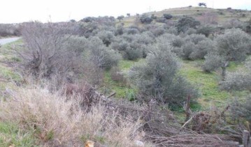 Land in Zona Sur-Av. de España-San Miguel