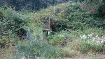 Terrenos en Mas Pere-Río de Oro