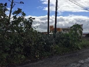 Terreno em Llano del Moró