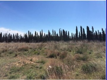 Terrenos en Mont-Roig del Camp