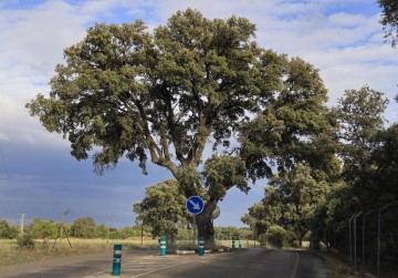 Terrenos en Monte de los Santos