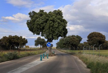 Terreno em Monte de los Santos