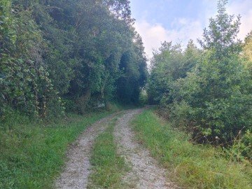 Terrenos en El Callejo - La Pesquera - La Arenosa