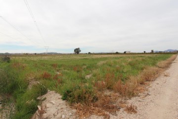 Terrenos en San Fulgencio