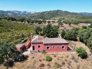 Terre à Los Barrios