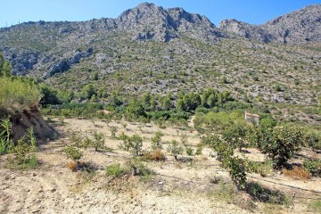 Terreno em Beniarbeig