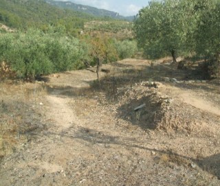 Terre à La Serra d'Almos