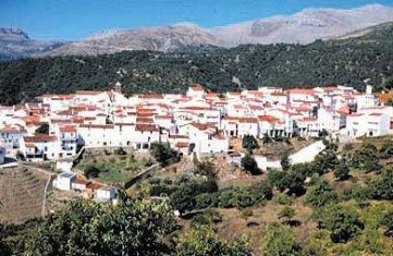 Apartment 1 Bedroom in Faraján