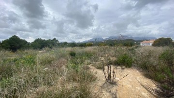 Terre à El Tossal-Bello Horizonte