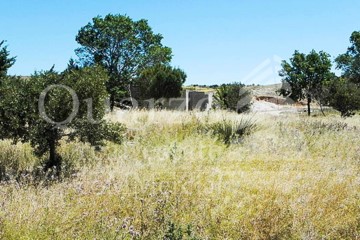 Terrenos en Ribatejada