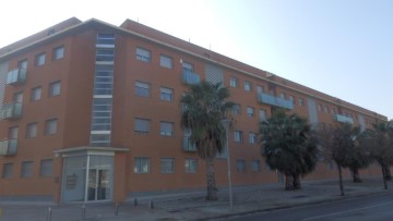 Apartment 1 Bedroom in Pla de Sant Pere-Les Salines