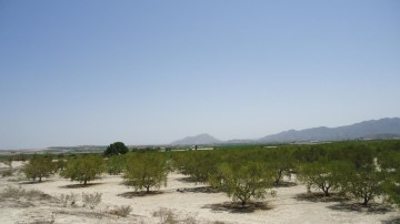 Terreno em Salado