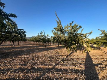 Terrenos en els Campellos