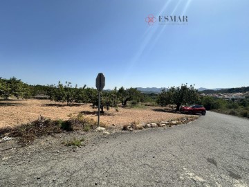 Terrenos en Alfara de la Baronia