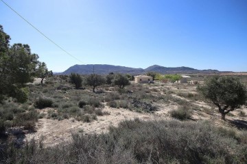 Terrenos en Las Lomas