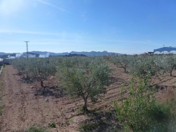 Terreno em Macisvenda