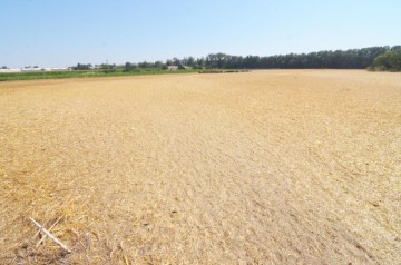 Terreno em Doñinos de Salamanca