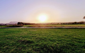 Terrenos en Montuïri