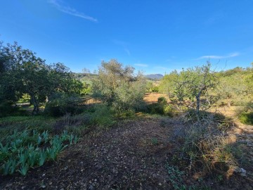 Terrenos en Montuïri