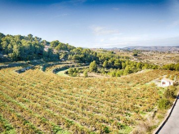 Terrenos en Benimeit-Tabaira