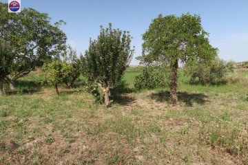 Land in Peralta