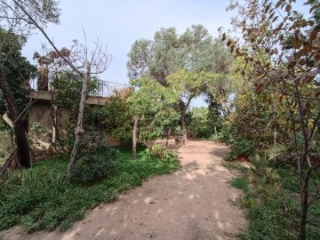 Land in Campolivar