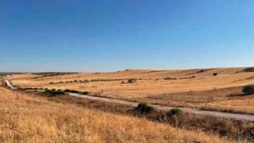 Terrenos en Berrocales de Jarama