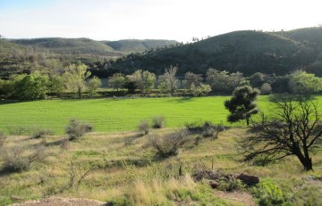 Terrenos en Darnius