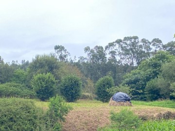 Terrenos en San Miguel