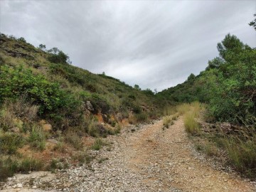 Terre à Urbanización L'Almunia