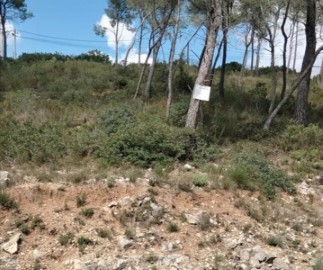 Terreno em Les Colines-Cal Surià