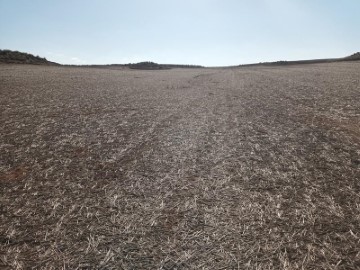 Land in Alcázar de San Juan