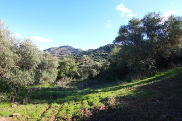 Terrenos en Guaro