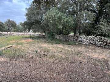 Casas rústicas en Costitx