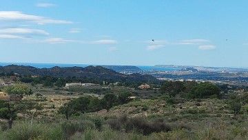 Terre à Urbanización el Carril