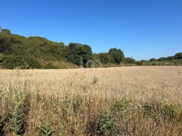 Land in Vilanova del Vallès