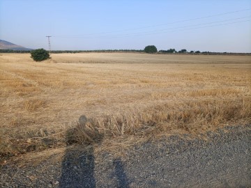 Terrenos en La Viñita