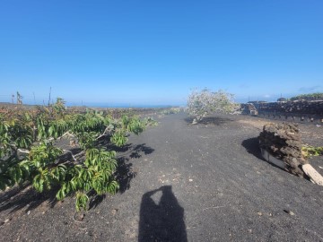 Terreno em Punta Mujeres