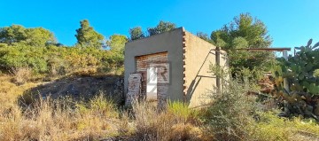 Terre à Les Borges del Camp