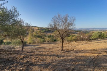 Terrenos en Capellanía - Retamar