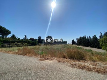 Land in Ramon Vilalta i Solé